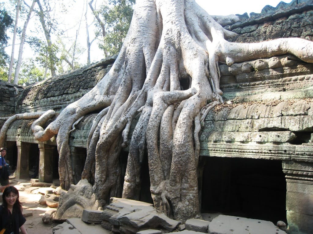 Siem-Reap_Temple_Ta_Phrom_(9)