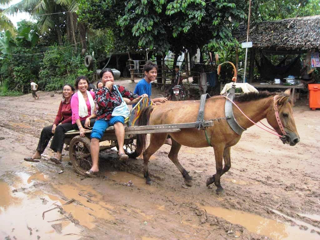 Siem Reap, Voyage, Cambodge, agence locale, francophone